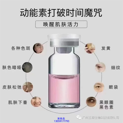 宁河区_水光动能素厂家货源